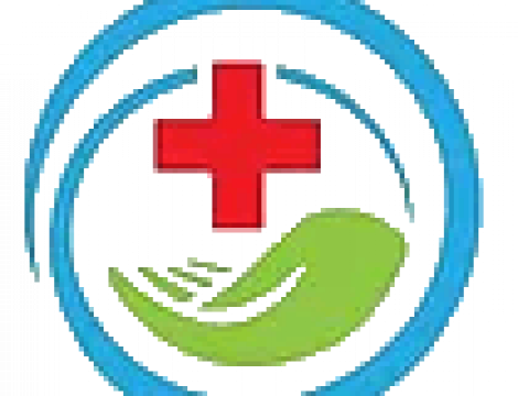 Health Insurance Agent Logo