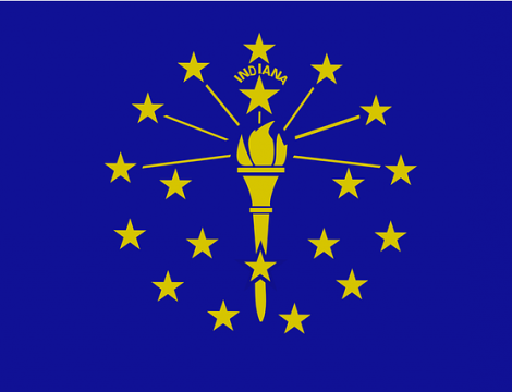 Indiana Gold Blue Flag